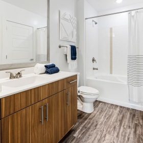 Bathroom options with thoughtful details shower/tub combo in bright bathroom